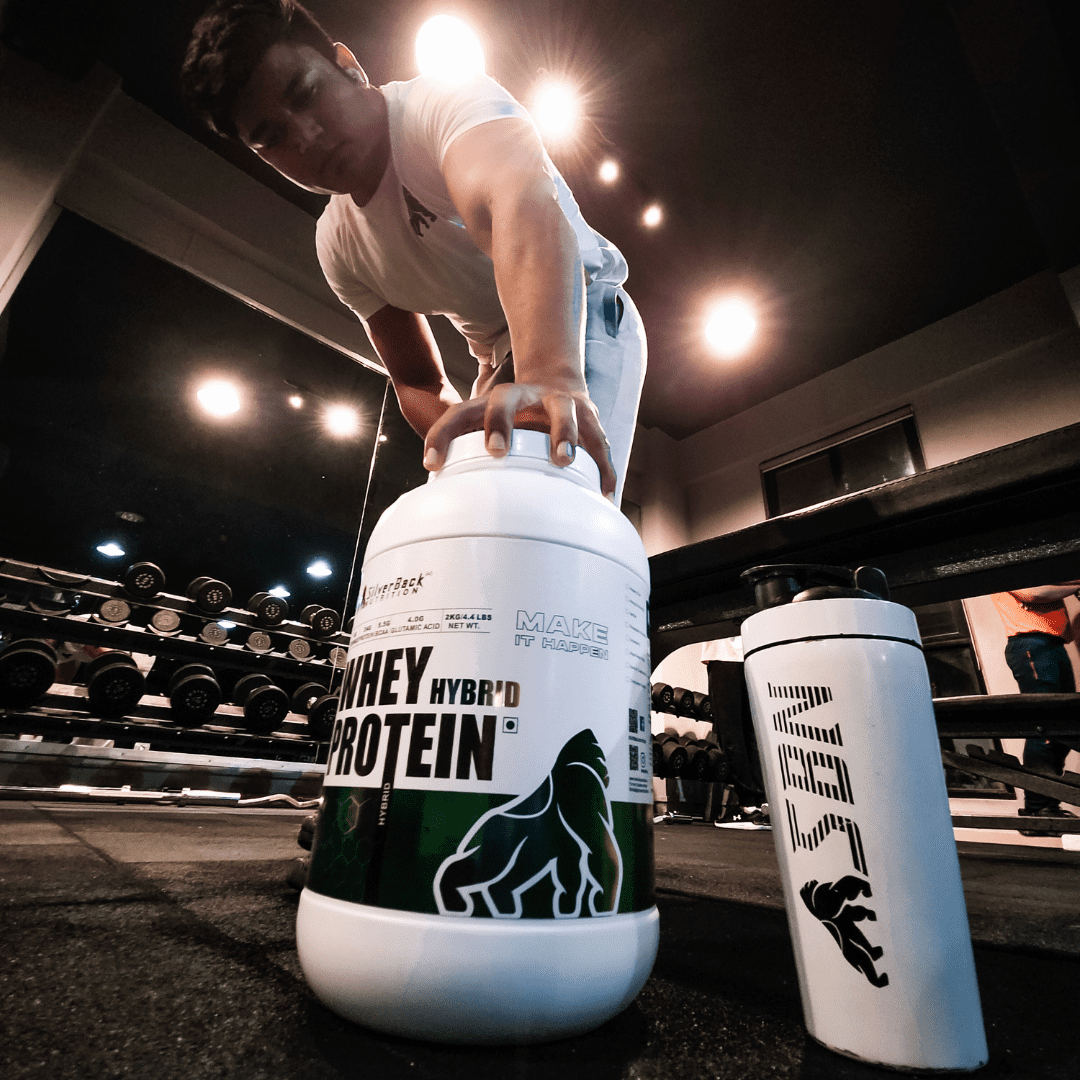 SBN Whey Protein HYBRID