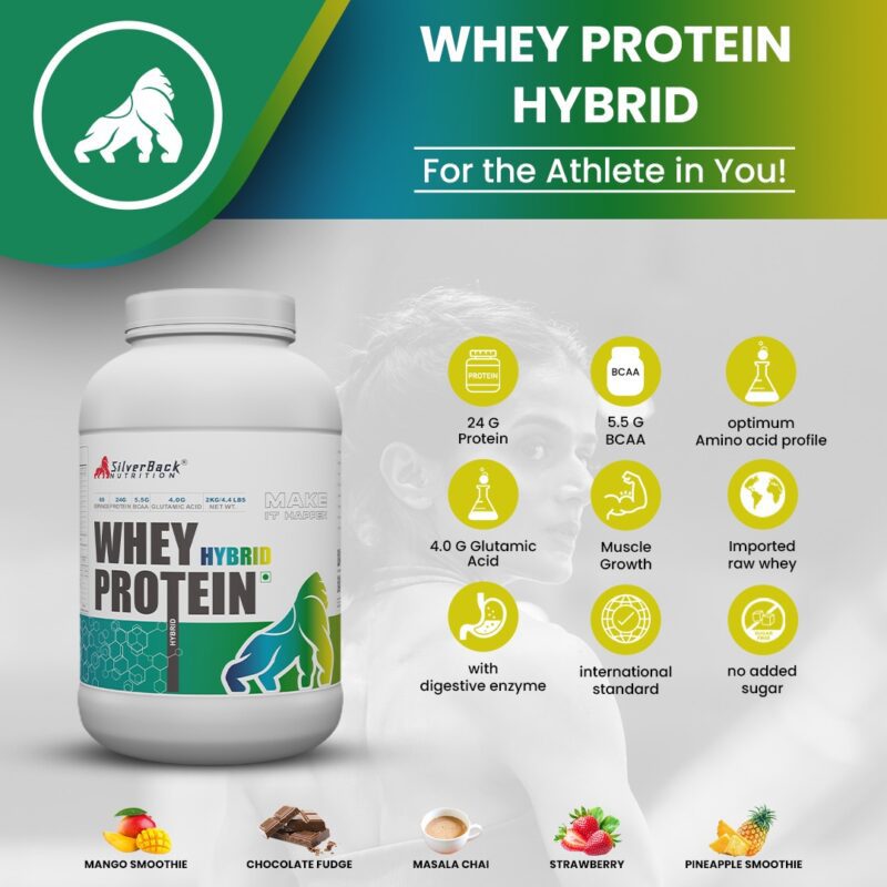 SBN Whey Protein HYBRID