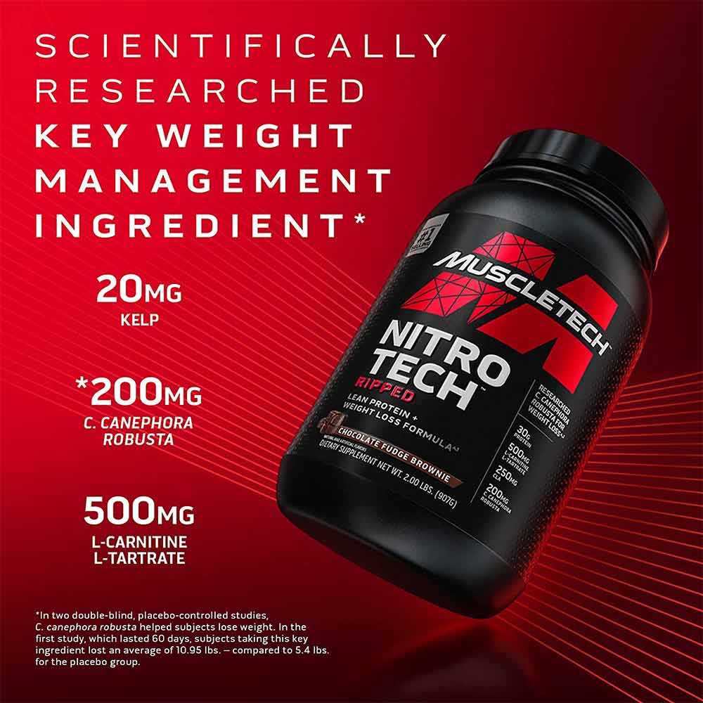 MuscleTech Performance Series NitroTech Ripped, 2 kg (5 lb), Chocolate Fudge
